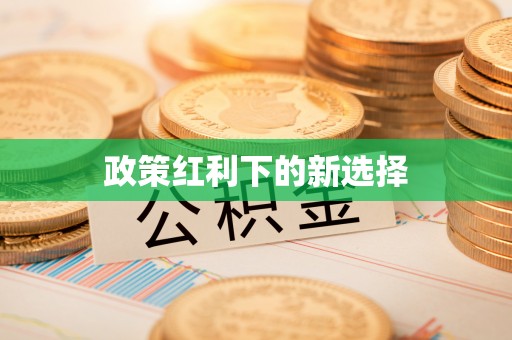 微山政策红利下的新选择