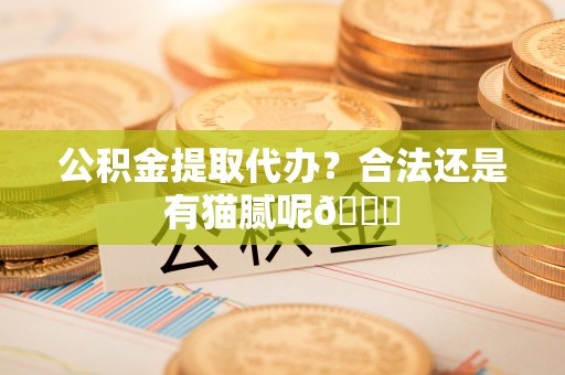 微山公积金提取代办？合法还是有猫腻呢😏